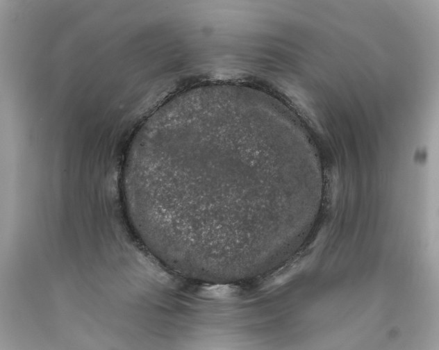 X0000089960269200707201955