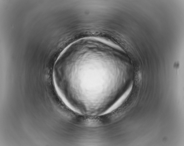 X0000089960270200707201955