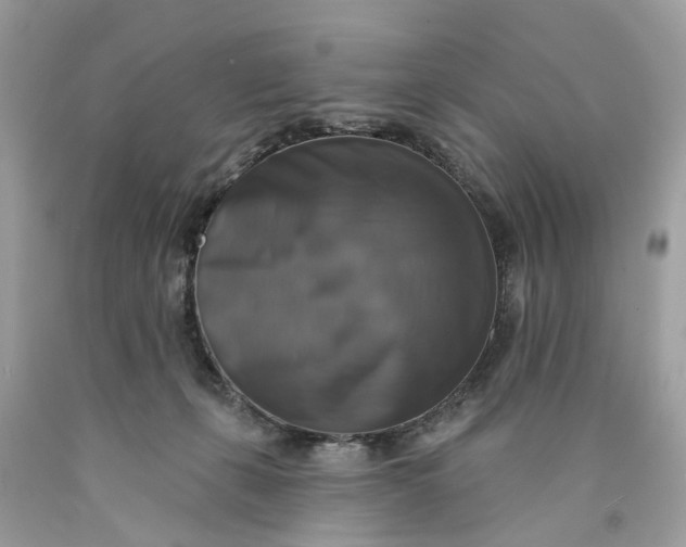 X0000089960271200707201955