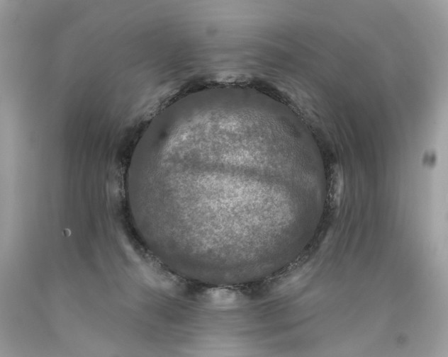 X0000089960272200707201955