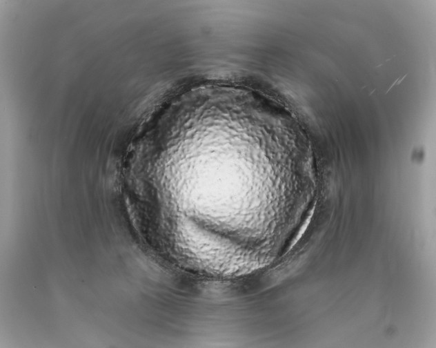 X0000089960273200707201955