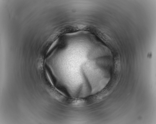 X0000089960274200707201955