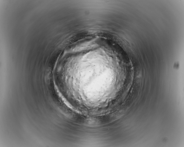 X0000089960275200707201955