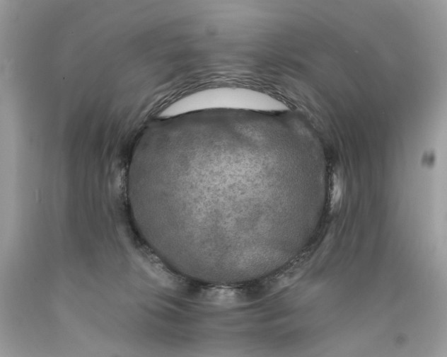 X0000089960276200707201955