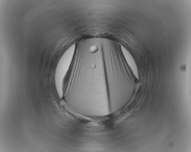 X0000089960280200707201955