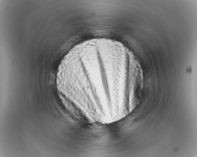 X0000089960281200707201955