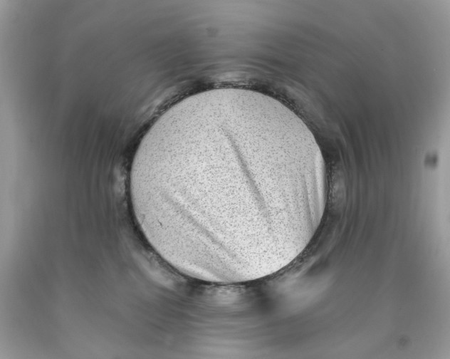 X0000089960282200707201955