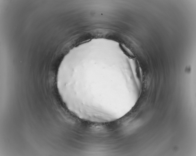 X0000089960283200707201955