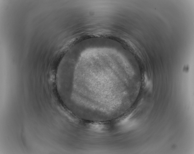 X0000089960284200707201955