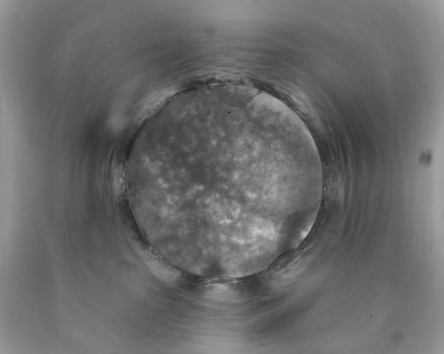 X0000089960285200707201955