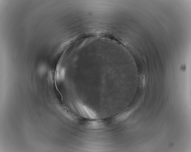 X0000089960286200707201955