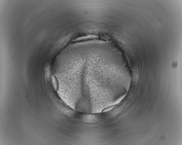 X0000089960287200707201955