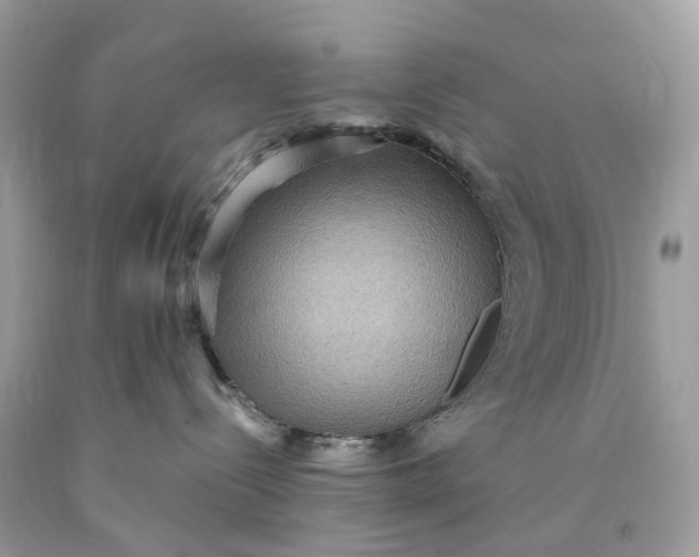 X0000089960288200707201955