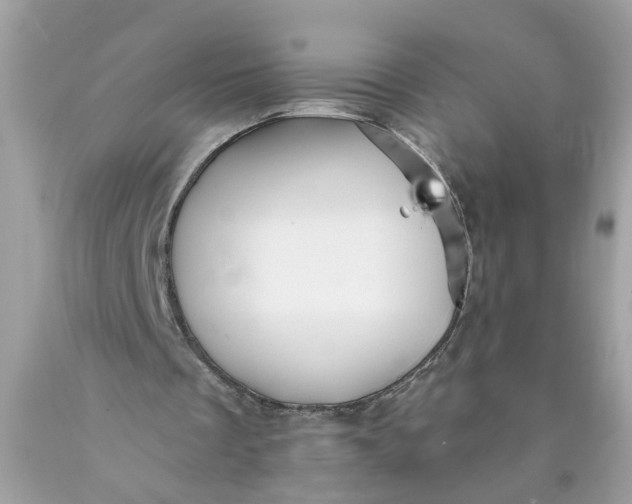 X0000089960289200707201955