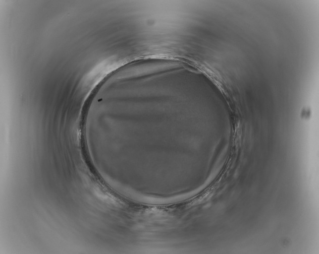 X0000089960290200707201955