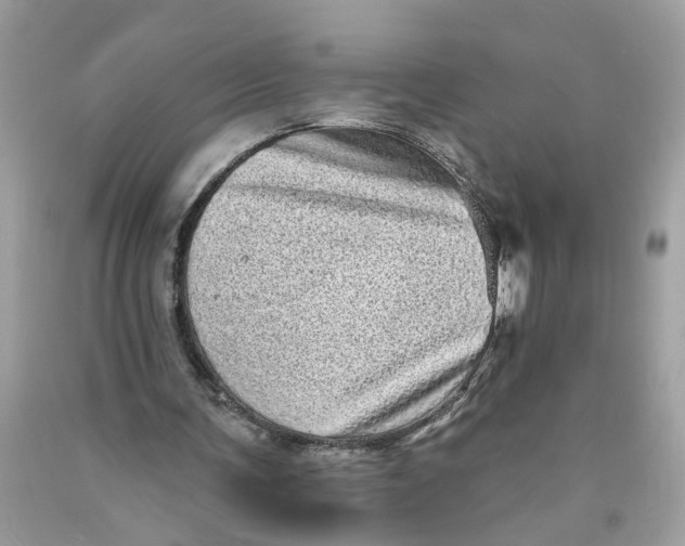 X0000089960291200707201955