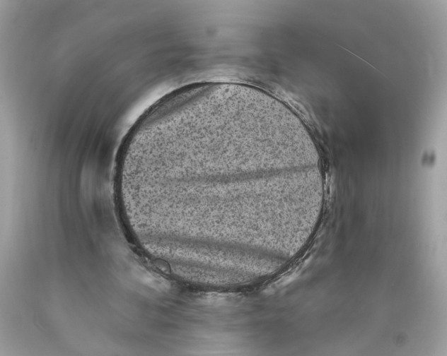 X0000089960292200707201955