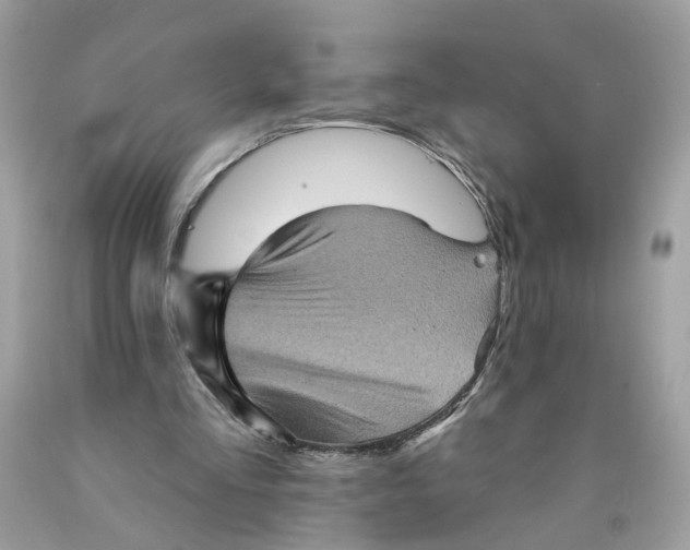 X0000089960293200707201955