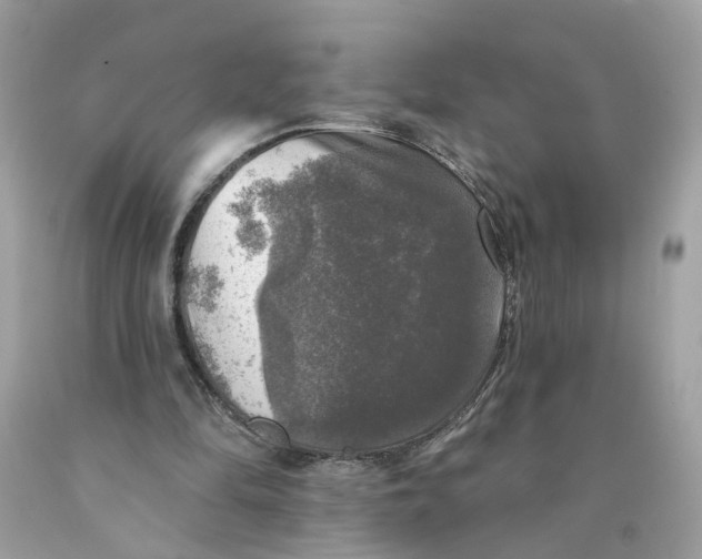 X0000089960294200707201955