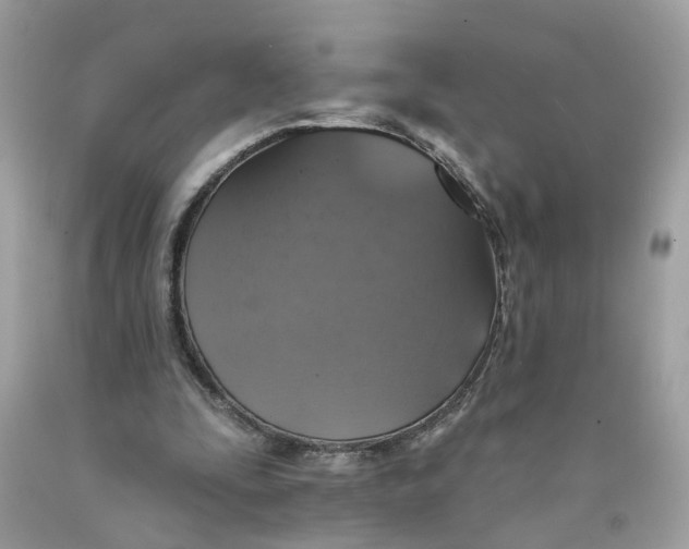 X0000089960295200707201955