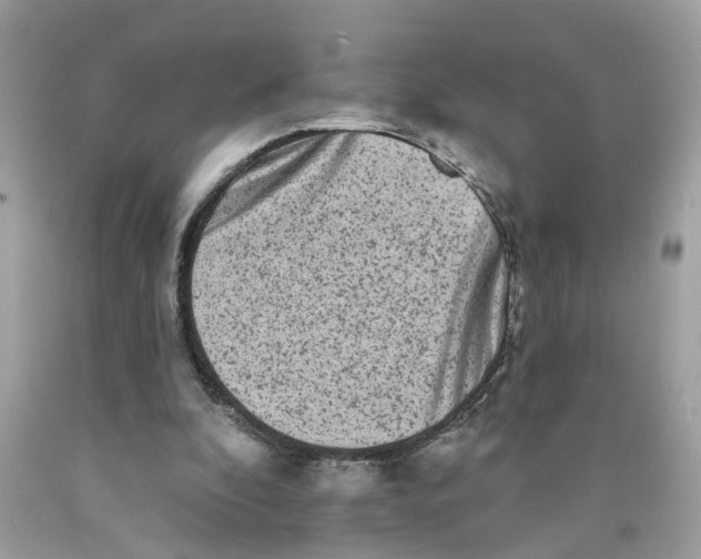 X0000089960296200707201955