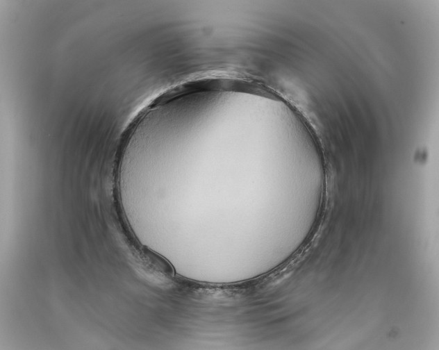 X0000089960297200707201955