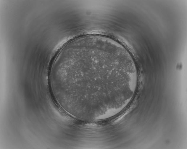 X0000089960298200707201955