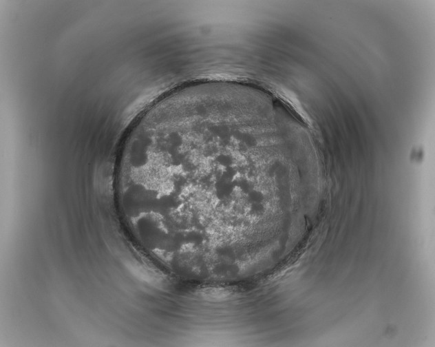 X0000089960299200707201955