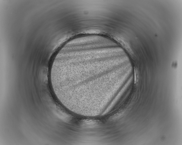 X0000089960300200707201955