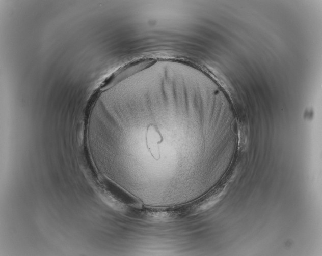 X0000089960301200707201955