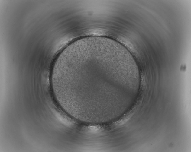 X0000089960302200707201955