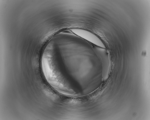 X0000089960303200707201955