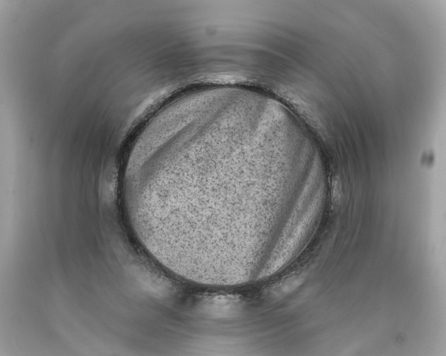 X0000089960304200707201955