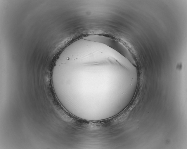 X0000089960305200707201955