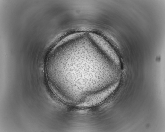 X0000089960306200707201954