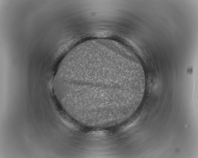 X0000089960307200707201954