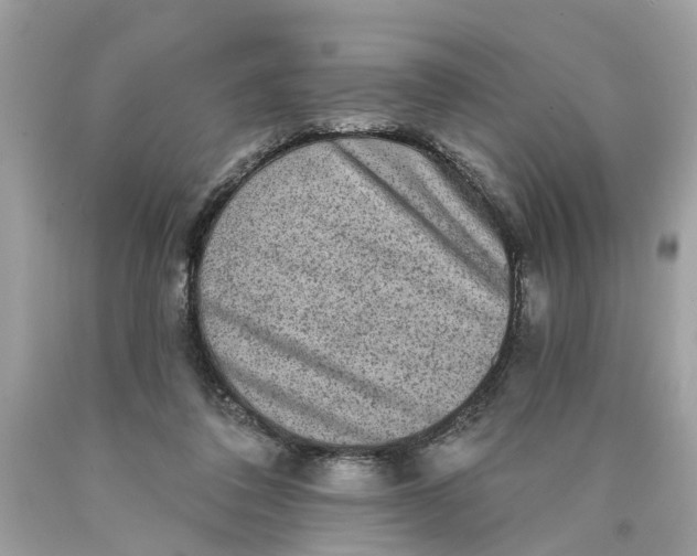 X0000089960308200707201954