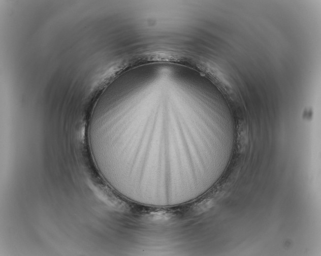 X0000089960310200707201954