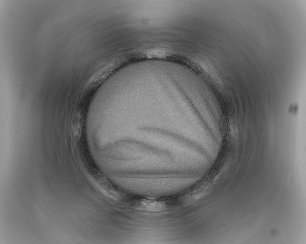 X0000089960311200707201954