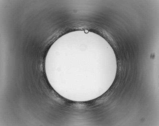 X0000089960313200707201954