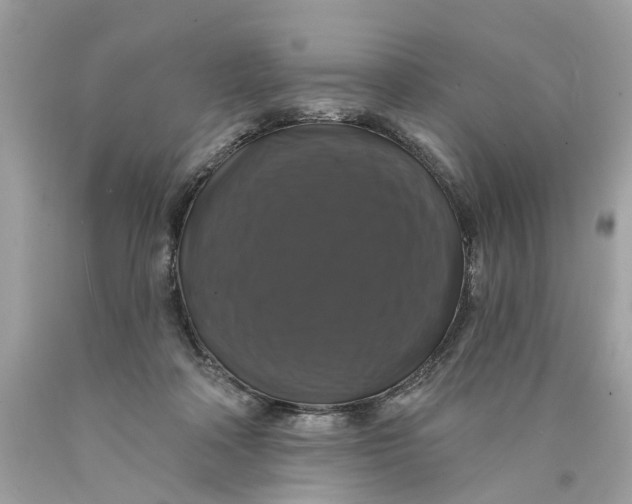 X0000089960314200707201954