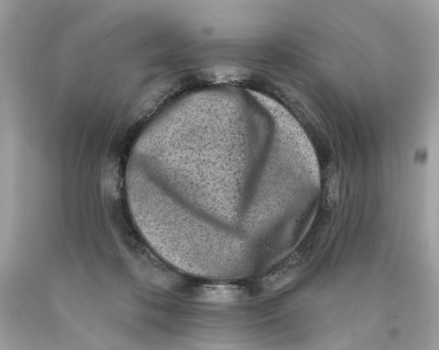 X0000089960316200707201954