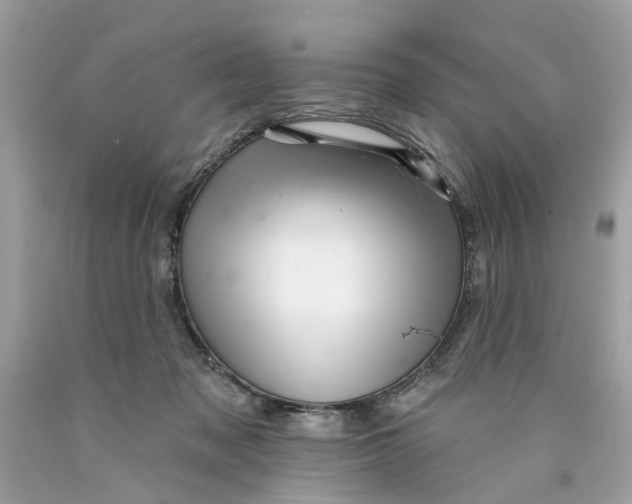 X0000089960317200707201954