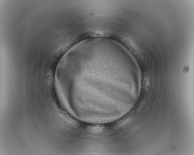 X0000089960318200707201954