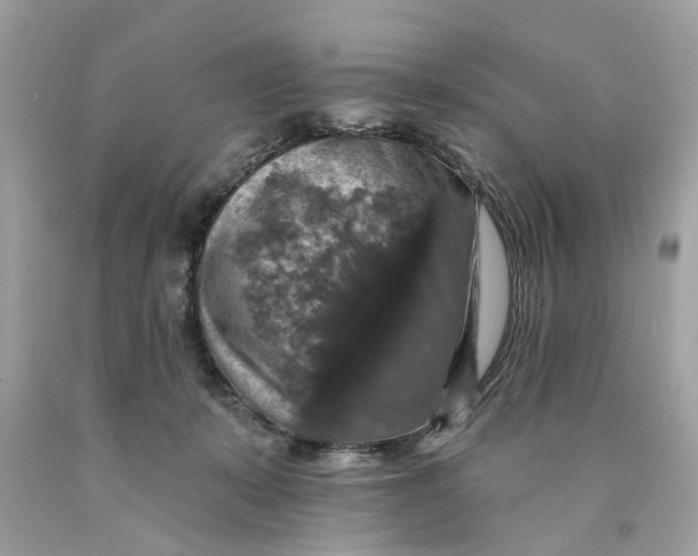 X0000089960319200707201954