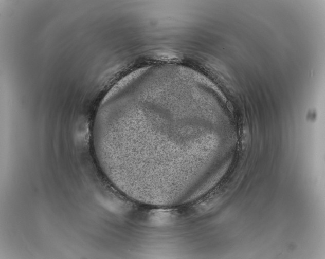 X0000089960320200707201954