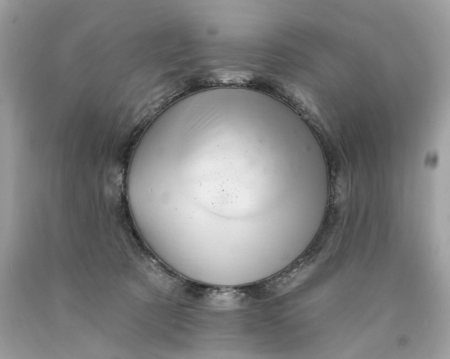 X0000089960321200707201954