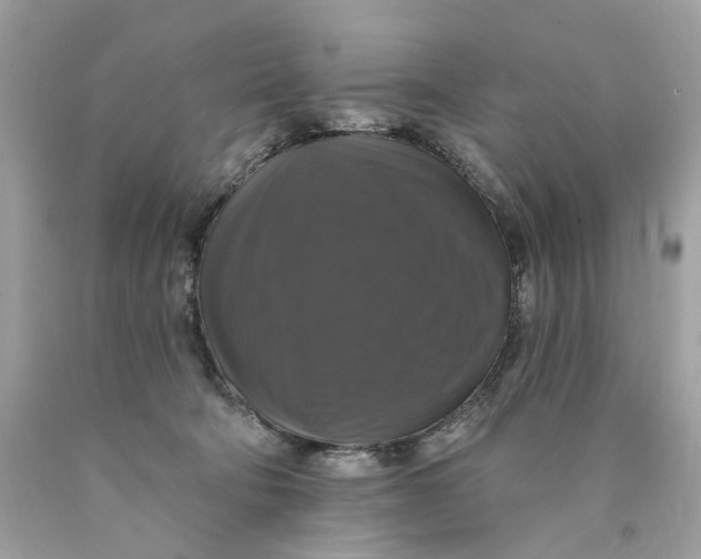 X0000089960322200707201954