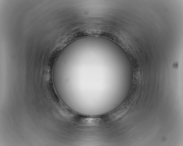 X0000089960323200707201954