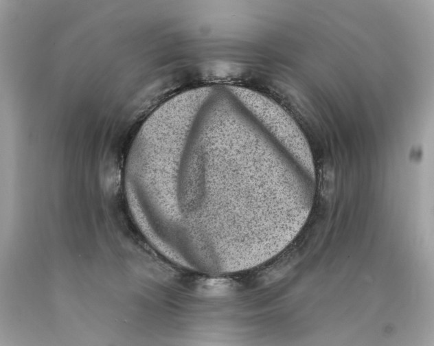 X0000089960324200707201954